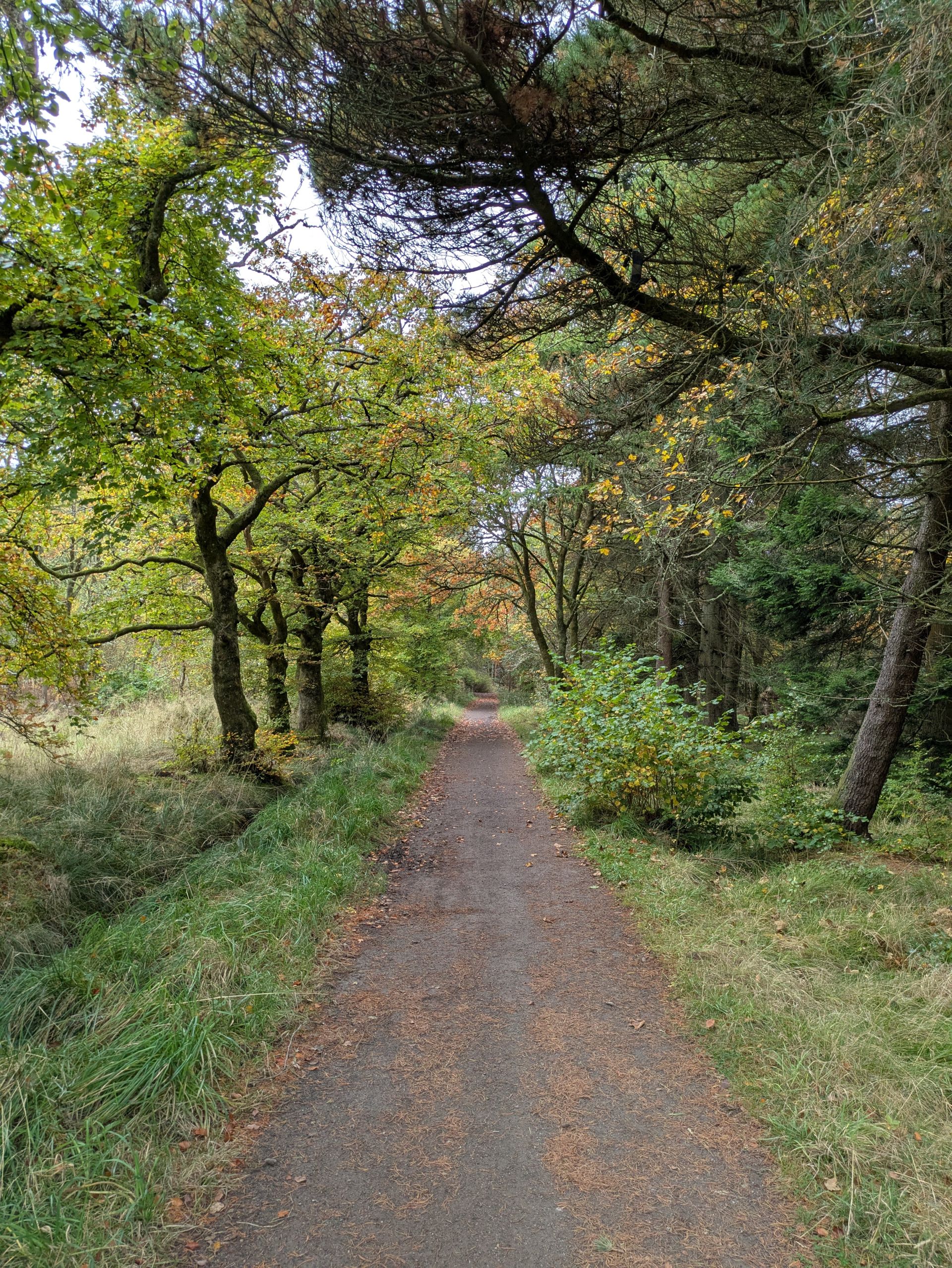 Palacerigg path